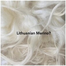 Lithuanian merino wool?