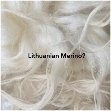 Lithuanian merino wool?